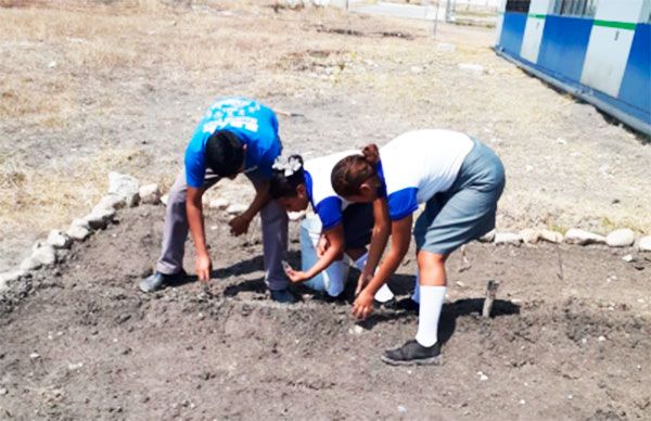 Inculca COBAT 23 a alumnos cultivos ecológicos 