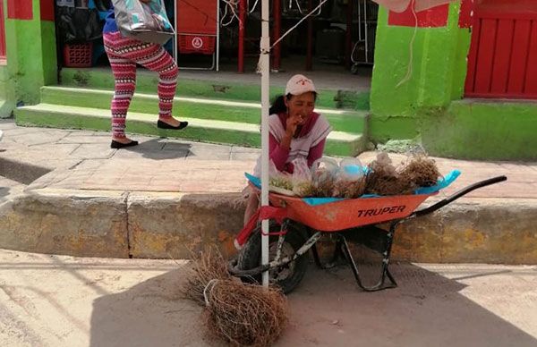 Demandan familias seguridad alimentaria en Tlaxcala 