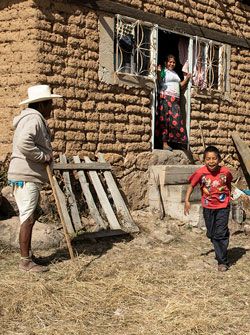 Urge garantizar la subsistencia de las familias mexicanas