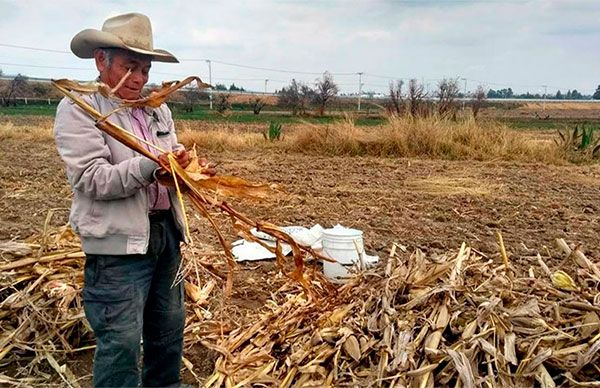 Campesinos viven el abandono