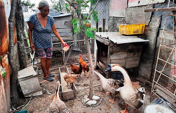 Desdeña Gobierno solicitud de alimentos para vendedoras informales 