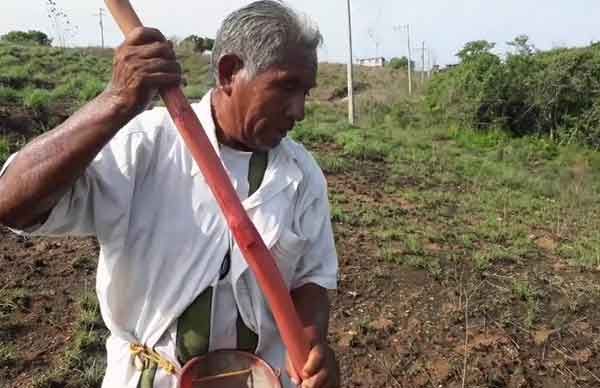 El gobierno de Oaxaca no desiste de gravar ejidos, acusan