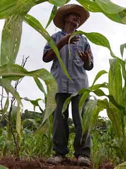 Gobierno de cuarta pone en riesgo al campo en Guerrero