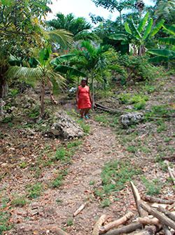 En Bacalar, ¿Qué motiva la lucha de Antorcha?