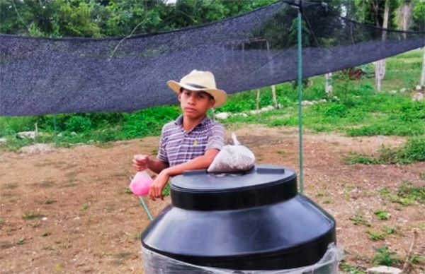 Pese a pandemia y la falta de apoyos del ayuntamiento estudiantes cultivan huertos para sobre salir