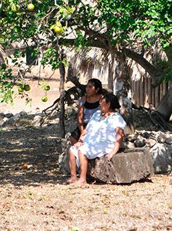 El pueblo de Carrillo Puerto, Q.Roo urge atención a sus demandas