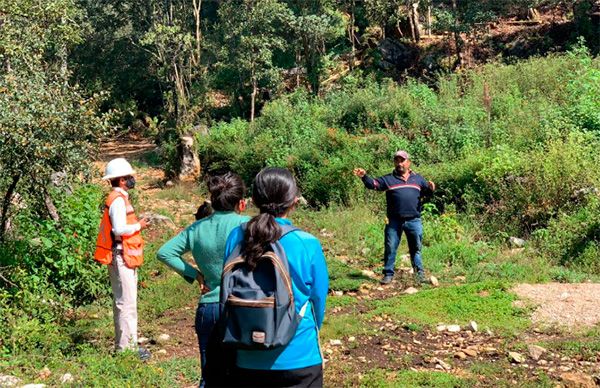 Evalúa CFE proyecto de ampliación en San Cristóbal de las Casas -  Movimiento Antorchista Nacional