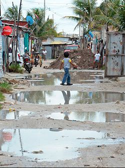 Quintana Roo: todo va bien, aunque nada funcione