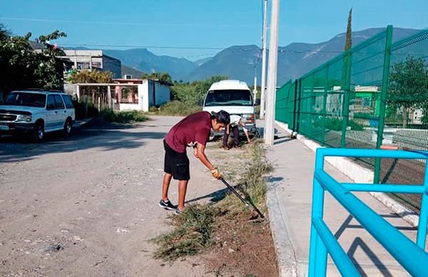 Con trabajo colectivo mejoran entorno