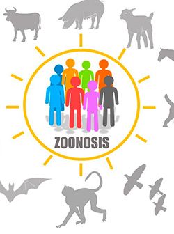 Zoonosis, un problema de salud pública La Paz