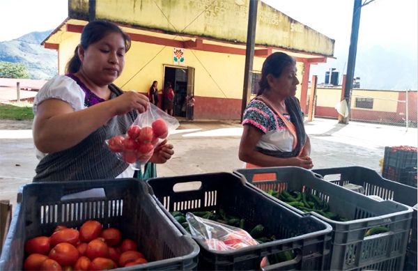 Llevan a Xinachapan programa de subsidio a la verdura