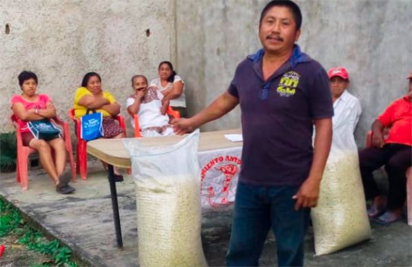 Familias de Ebtun reciben maíz de consumo tras perder su cosecha