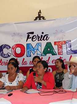 La Feria de la unidad entre los pueblos en Tecomatlán