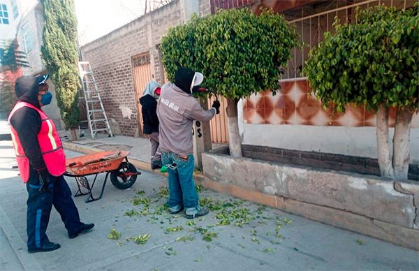 Mejores entornos urbanos con Jornadas de Limpieza