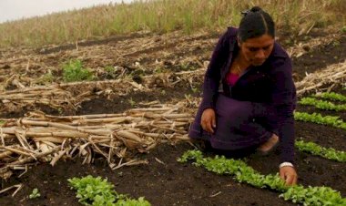 Abandono y desatención en Puebla