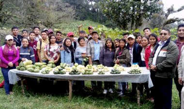 Tecnológico de Tecomatlán ofrece educación integral
