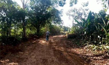 Abren camino saca cosechas para citricultores de Huehuetlán