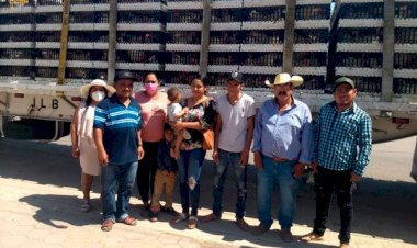 Más de 400 familias de Zirándaro reciben paquetes de gallinas