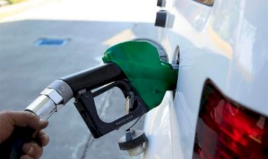 Morena niega eliminar impuesto para reducir precio de combustibles, acusa Gloria Brito