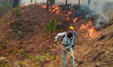 Huyen de incendio forestal pobladores de Tepoxtepec, Guerrero