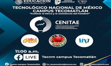 Tecnológico de Tecomatlán pasa a semifinales en la etapa regional del CENITAE 2021 con el Proyecto VIXI