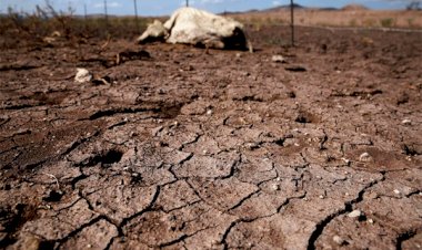 Sequía alienta migración de campesinos de Saltillo