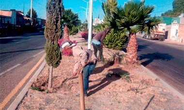 Sembrando Vida, acabando con el agua