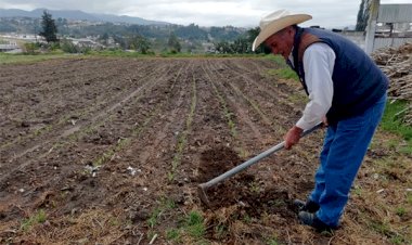 Campesinos mexiquenses temen perder sus parcelas por falta de fertilizante subsidiado