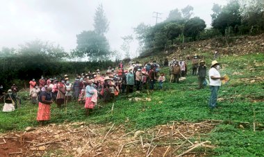 Protestarán campesinos de Chilapa en exigencia de fertilizante