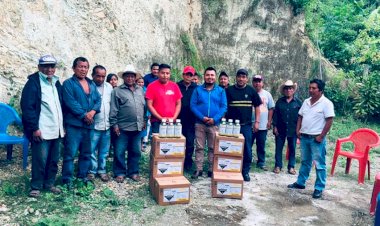 Reciben herbicidas productores de maíz y frijol de Alcozauca