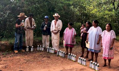 Indígenas amuzgos reciben herbicidas de Xochistlahuaca