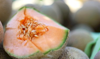 Injusticias y desdén de las autoridades a los productores de melón