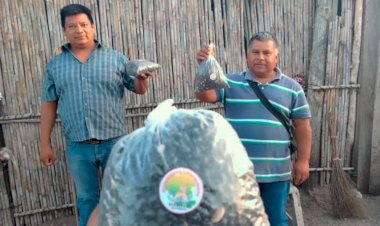 Antorcha lleva frijol económico a familias humildes de Rioverde