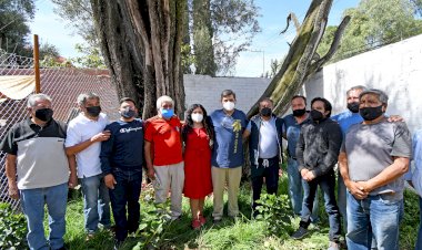 Chimalhuacán será sede de Concurso Internacional de Olivos Patrimoniales