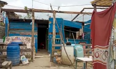 A 12 días del paso del huracán Grace en Veracruz, familias de Papantla y Tihuatlán en el abandono