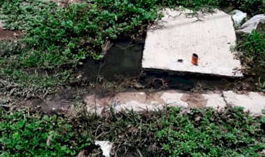Acusan negligencia de COMAPA por aguas negras en Ciudad Mante
