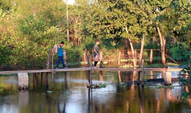 Inundaciones en Tabasco, año con año pérdidas para los más pobres