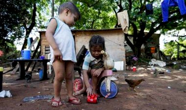 Impacto de pobreza en educación y salud en población infantil 