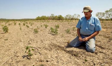 En crisis, la agricultura en Quintana Roo