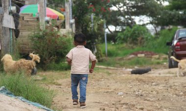 Suburbios de Veracruz en el abandono por autoridades
