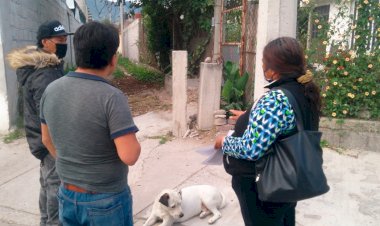 La Delegación Luis Donaldo Colosio atiende problemas de distribución de postes en sus calles