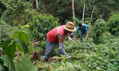 Los verdaderos vencedores de desierto, los campesinos agrícolas de Chihuahua