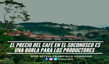 El precio del café en el soconusco es una burla para los productores 