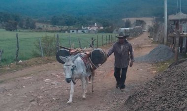 PEF 2022 no incluye obras para comunidades indígenas de Michoacán, denuncian purépechas