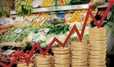 Incremento de los precios en la canasta básica: inflación