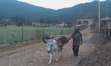 Los pueblos indigenas de Michoacán en la marginación