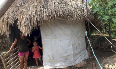 Familias de Peto, Yucatán, sin seguridad social