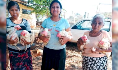 Entrega Antorcha gallinas de postura a familias de Quechultenango