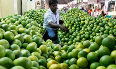 Golpea a México aumento en precio de cítricos