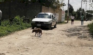 Urgen al ayuntamiento de Benito Juárez rehabilitación de calles